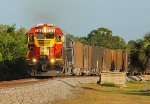 FEC 703